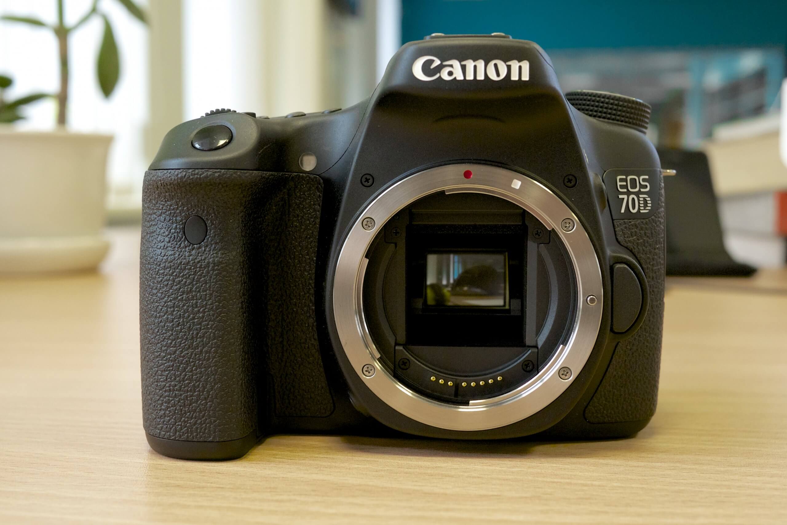 Canon EOS 80D Vs. Canon EOS 70D Body