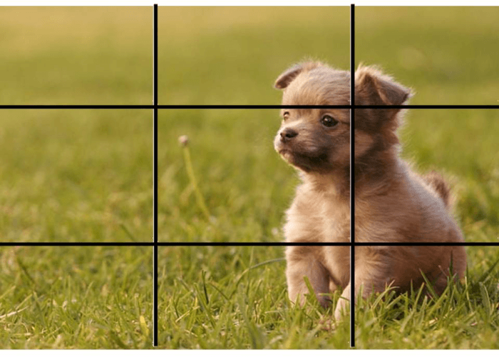 Balance Photography and The Rule of Thirds