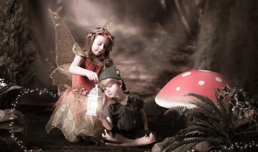 Enchanted Forest Fairy