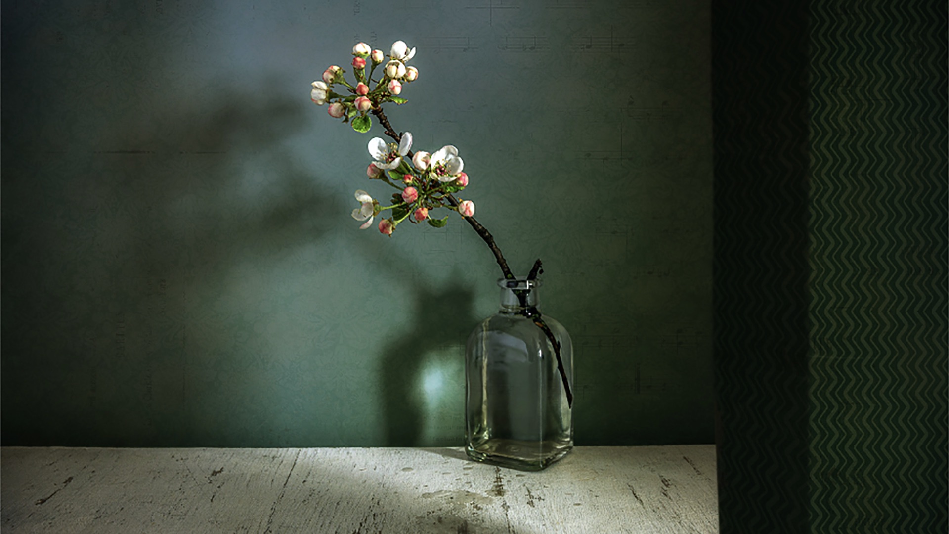 Still-Life Photography