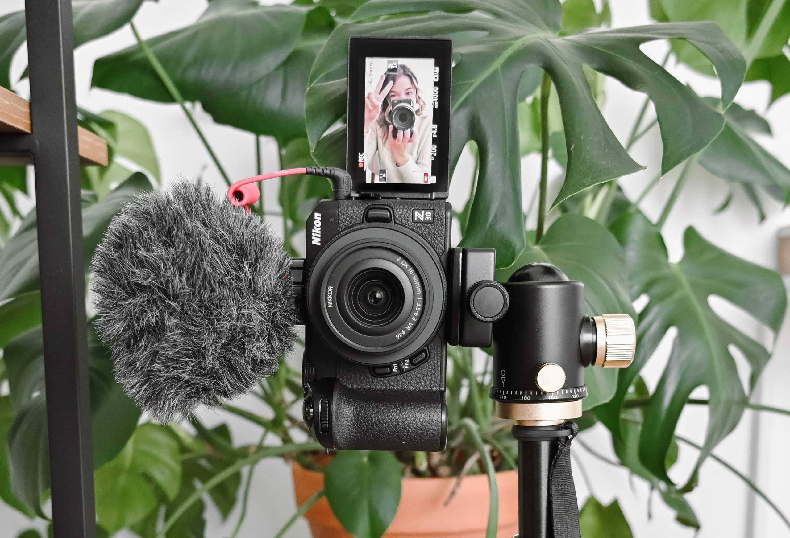 Nikon Z30 Review: For The Aspiring Content Creators 