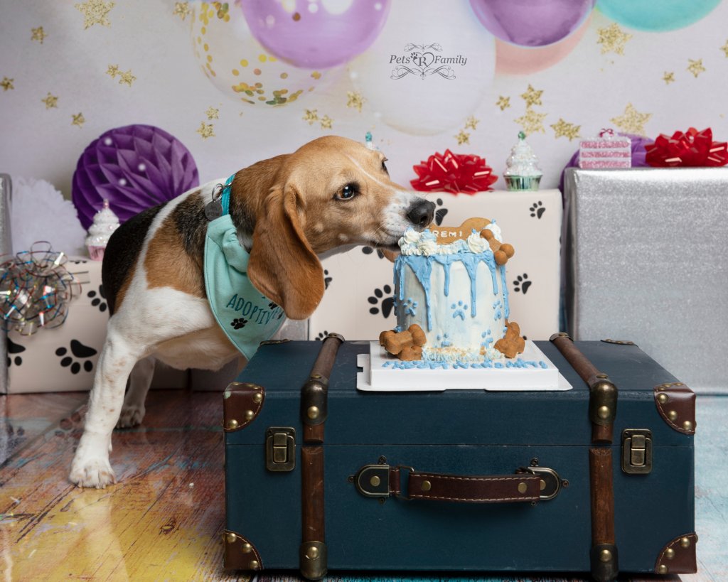 Cake Smash at 16th Birthday