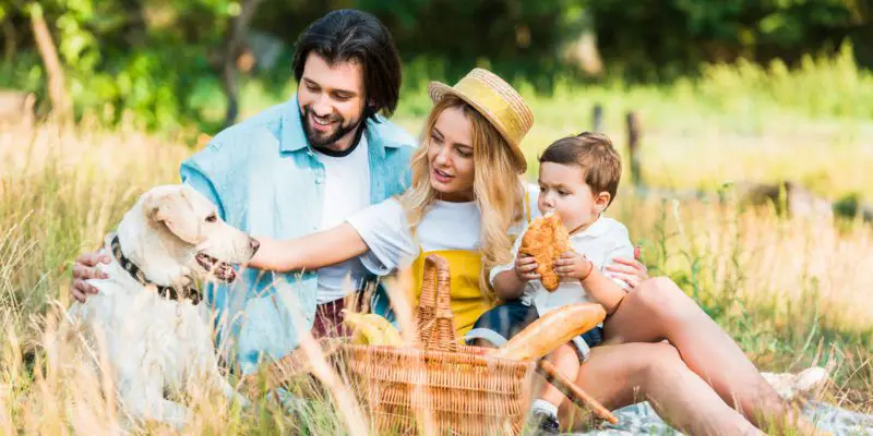 Capture Sweet Pet Moments in a Picnic Shoot.jpg