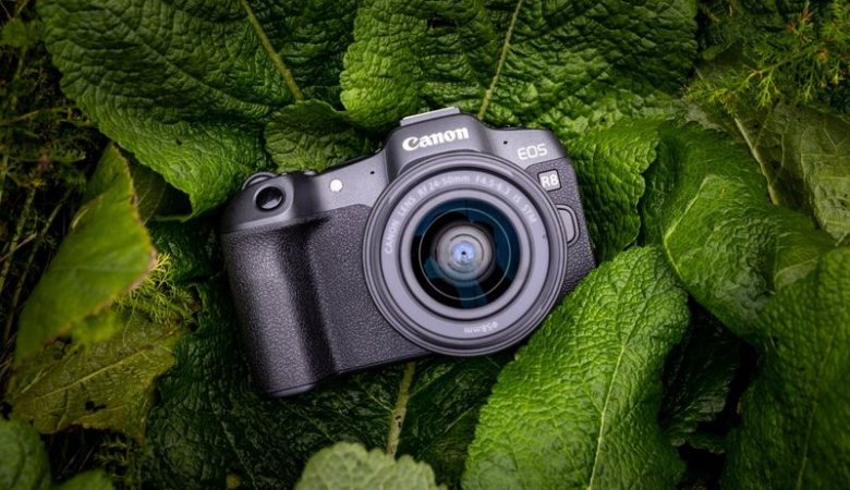 How to Set up a Canon Camera for Beginner Photography?