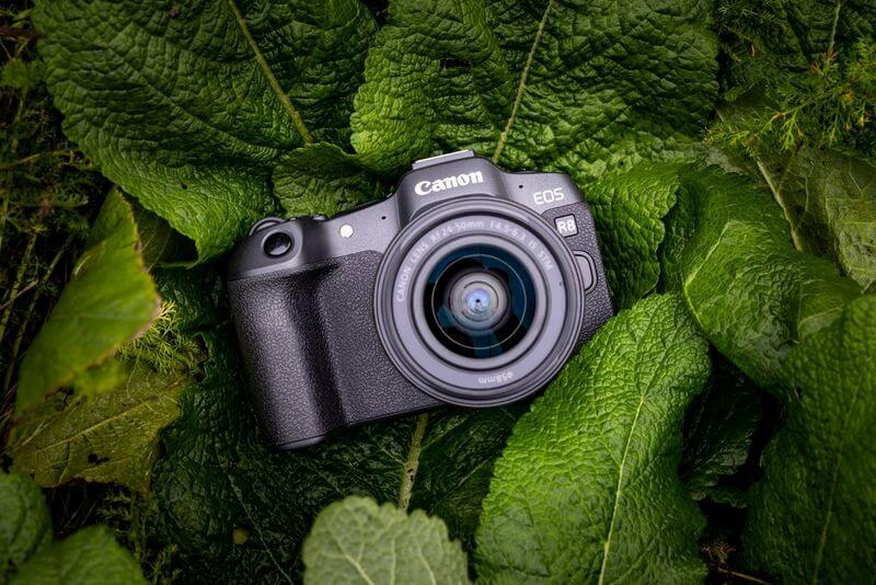 How to Set up a Canon Camera for Beginner Photography?