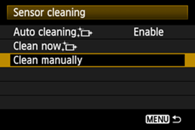 Manual Cleaning