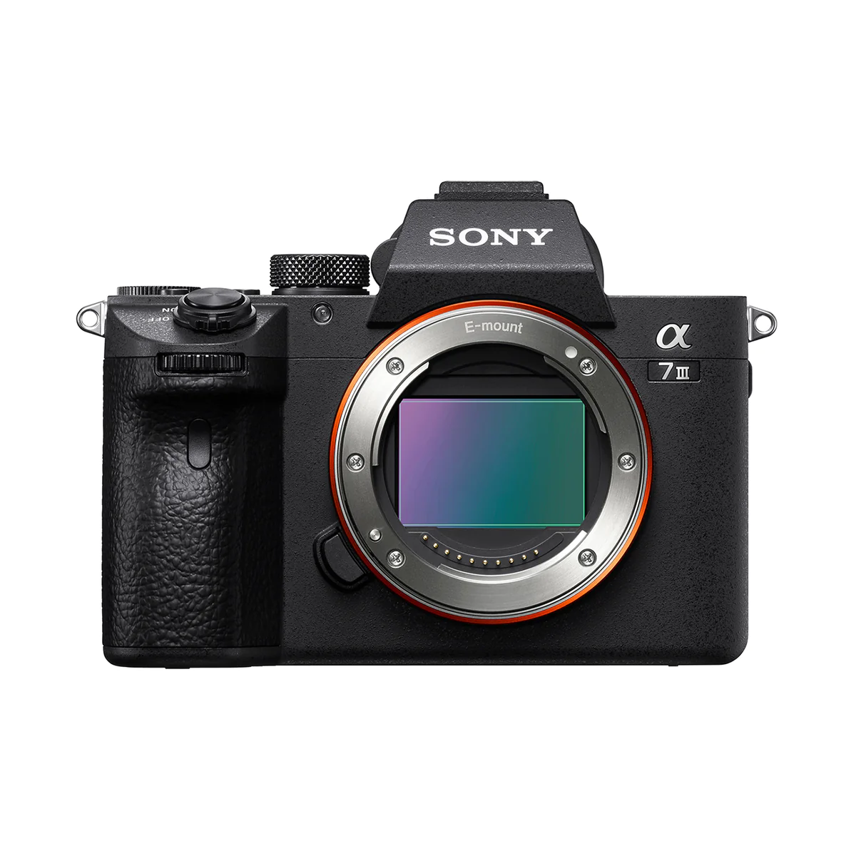 Size of Sensor in Sony A7III .jpg