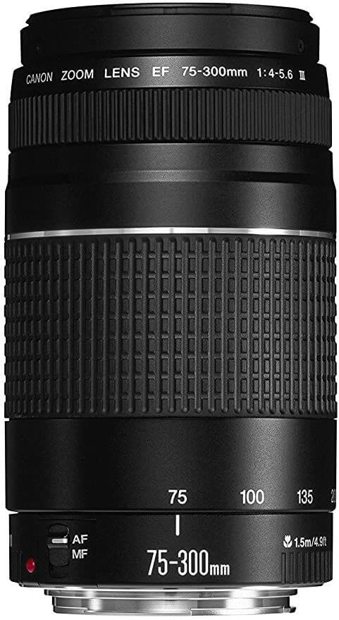 The Canon EF 75-300mm f:4.5-5.6 III Lens