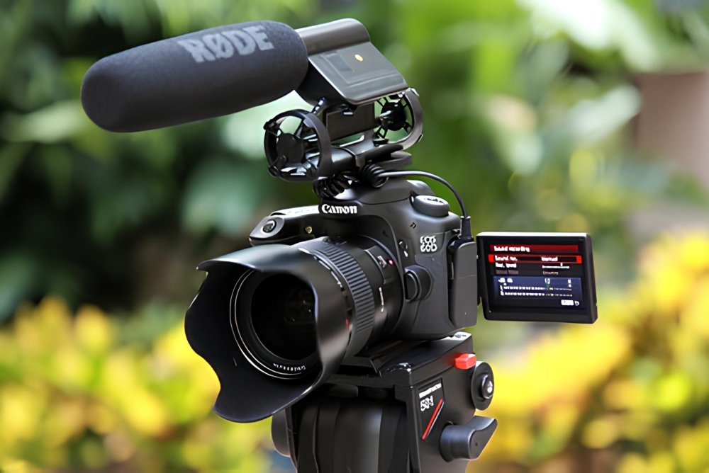 What Are The Video Capabilities Of The Canon EOS D60?