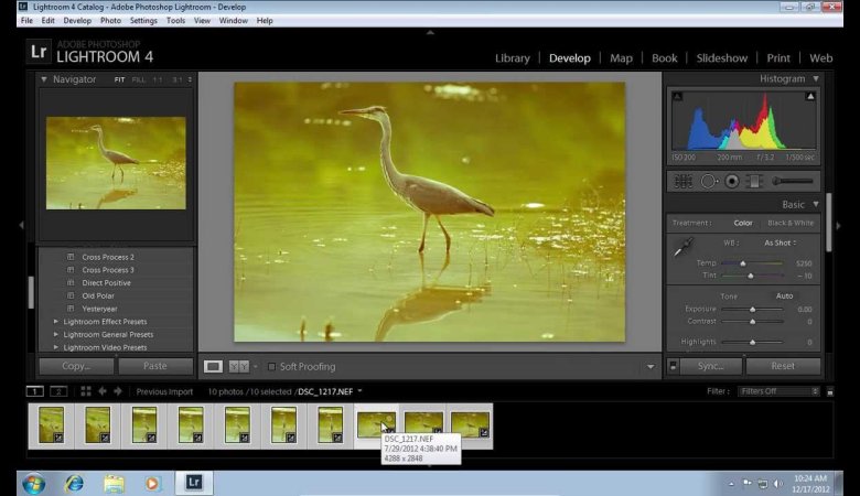 What are the Advantages of Applying a Preset to Multiple Images in Lightroom