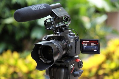 What are the Video Capabilities of the Canon EOS D60?