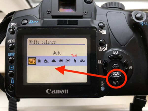 White Balance Adjustments