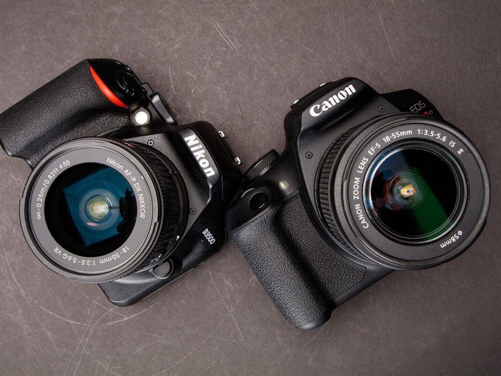 How Do the Nikon D3500 and Canon T7 Compare in Terms of Image Quality