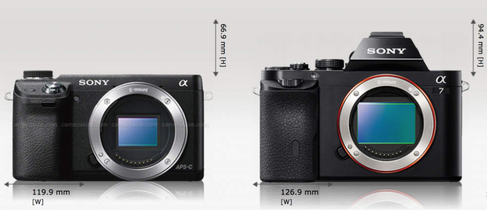 How Do the Sony A6000 and A7 Compare in Terms of Battery Life