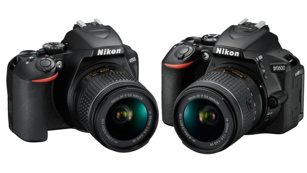 How Do the Video Capabilities of The Nikon D3500 Compare to The Canon M50