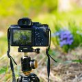 How To Use Framing to Highlight the Subject in Photography