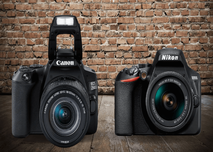 Importance of Battery Life in These DSLR Cameras
