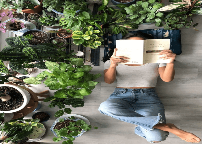 Indoor Gardening Haven