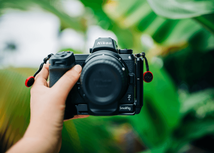 Interesting Features of Nikon D350 and Canon M50