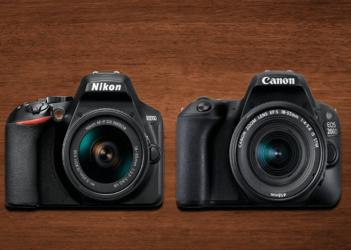 Nikon D3500 & Canon M50 - In Terms of Continuous Shooting Speed