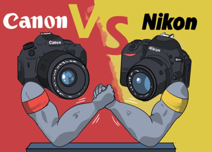 Nikon D3500 and Canon M50 Sensor Comparison