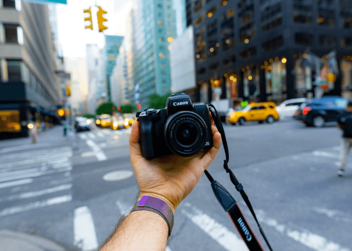 Nikon D3500 vs Canon M50: A Beginner-Friendly Guide