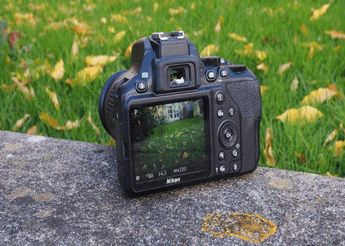 Nikon D3500 vs Canon M50: In Video Capabilities