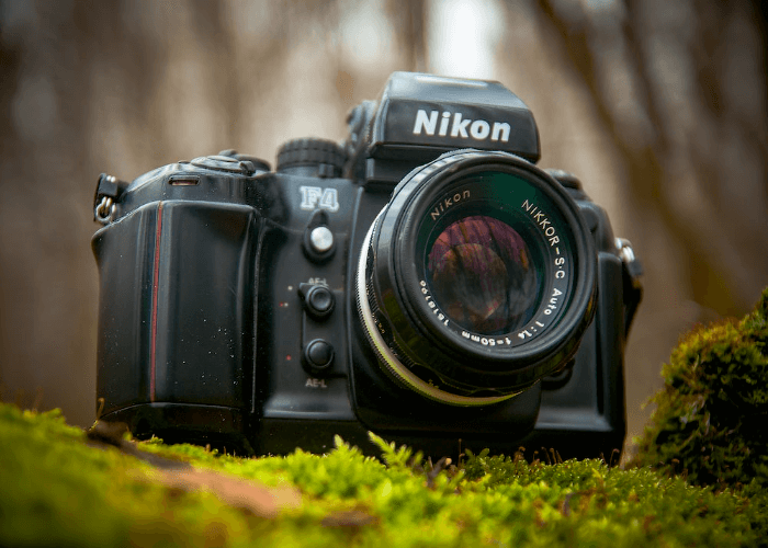 Nikon D3500 vs Canon M50: Lens Availability