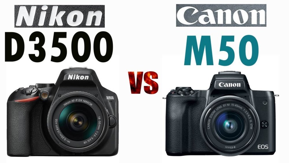 nikon d3500 vs canon m50