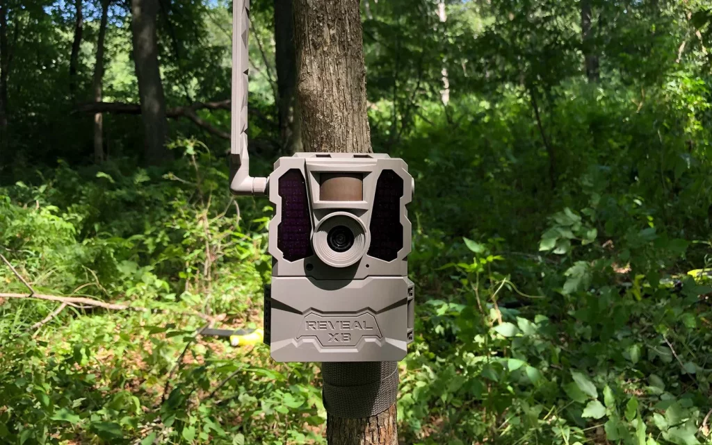 Can Cellular Trail Cameras Work without Service