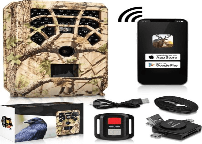 Cellular Trail Cameras: What You Need to Know
