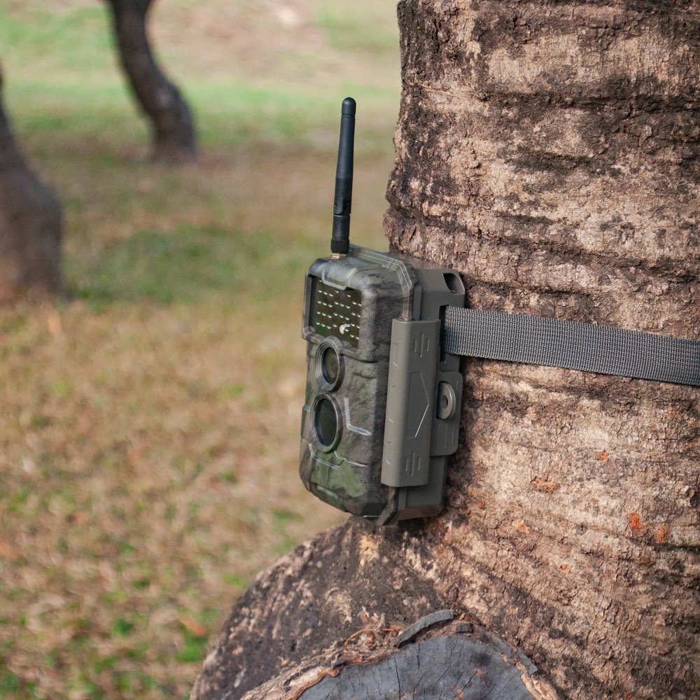 Do Cellular Trail Cameras Work Without Service