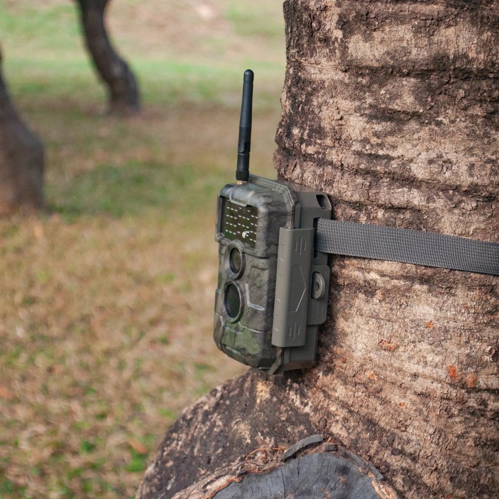 Do Cellular Trail Cameras Work Without Service? NoKishiTa Camera