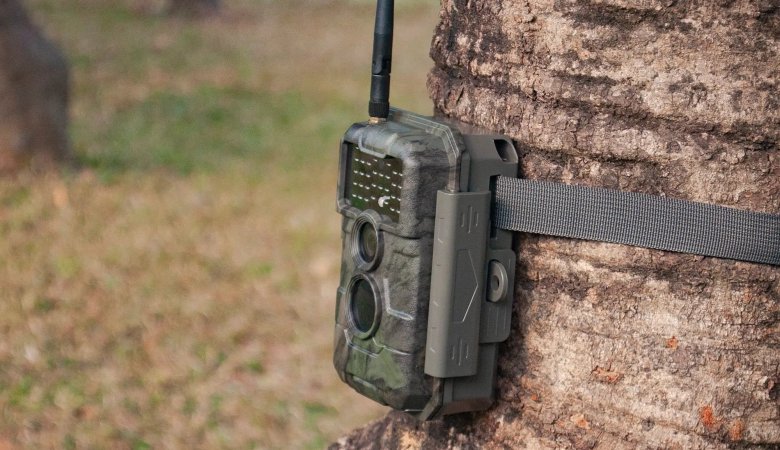 Do Cellular Trail Cameras Work Without Service