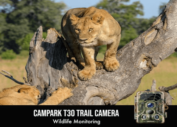 Factors that Impact the Trail Ranges of Cameras