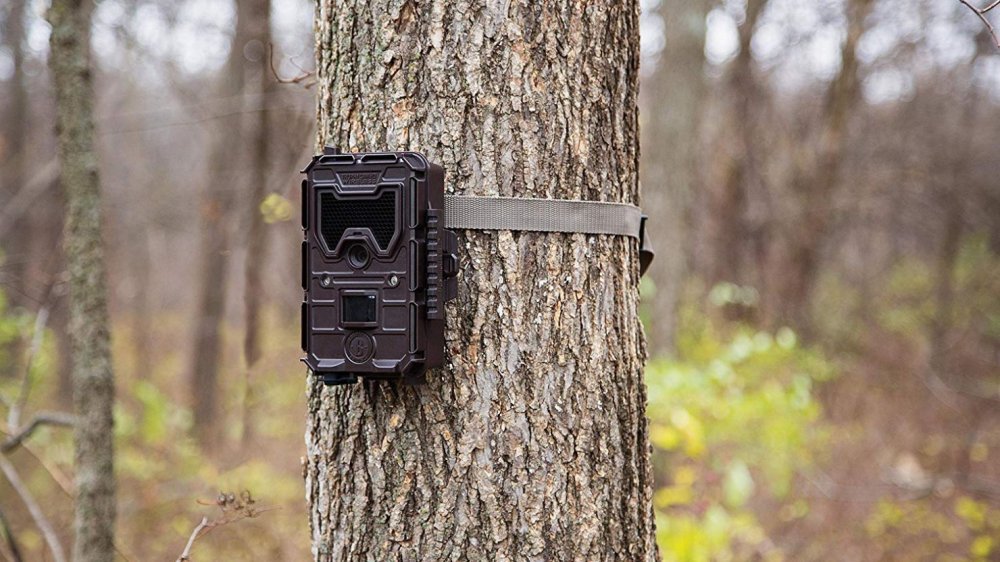 How Do I Convert My Trail Camera to Cellular