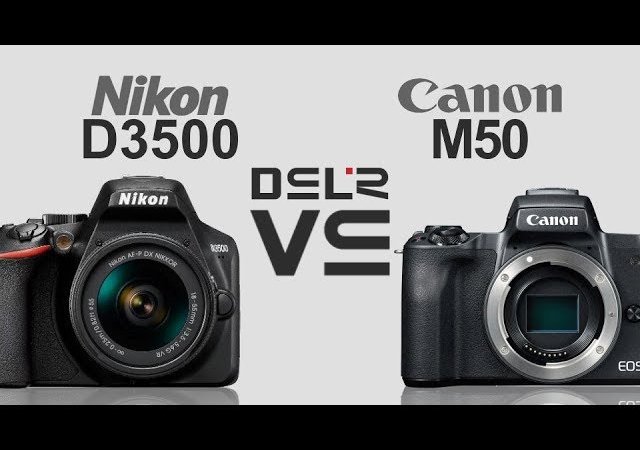 How Do User Reviews Compare Between the Nikon D3500 and Canon M50