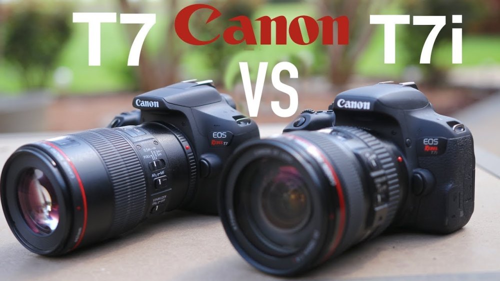 How Do the Canon T7 and T7i Compare in Terms of Price