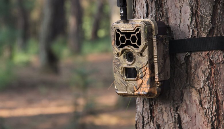 How Far Can a Trail Camera Detect Motion