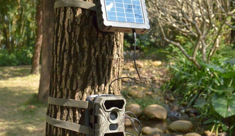How Much Data Does a Cellular Trail Camera Use