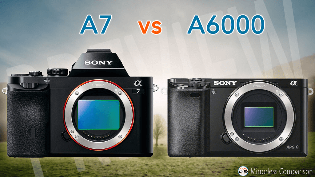 Similarities Sony A6000 vs A7