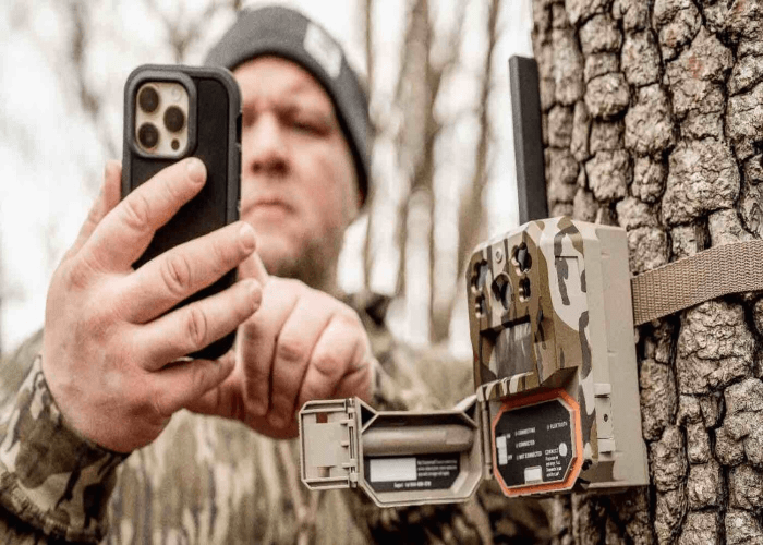 Understanding the Cellular and Regular Trail Cameras