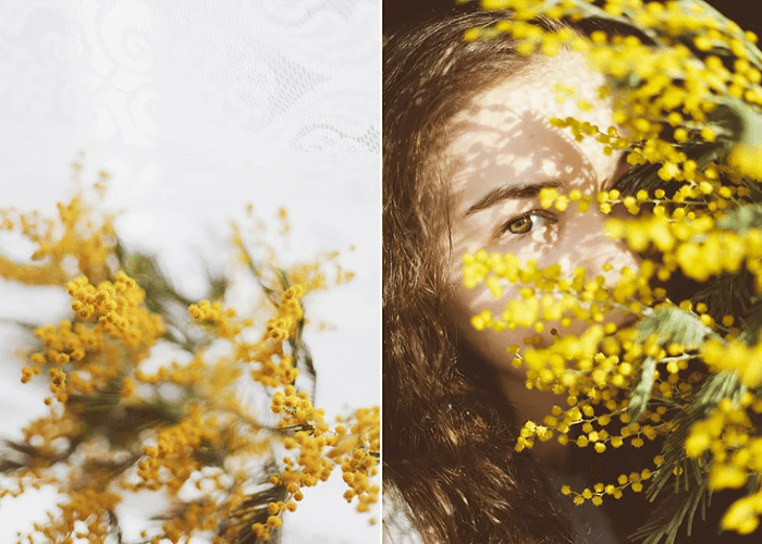 What is a Diptych Photo
