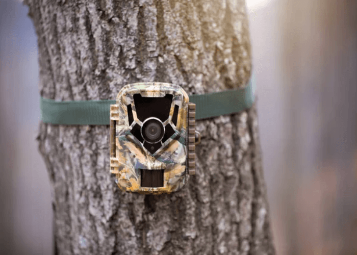 What is a Regular Trail Camera