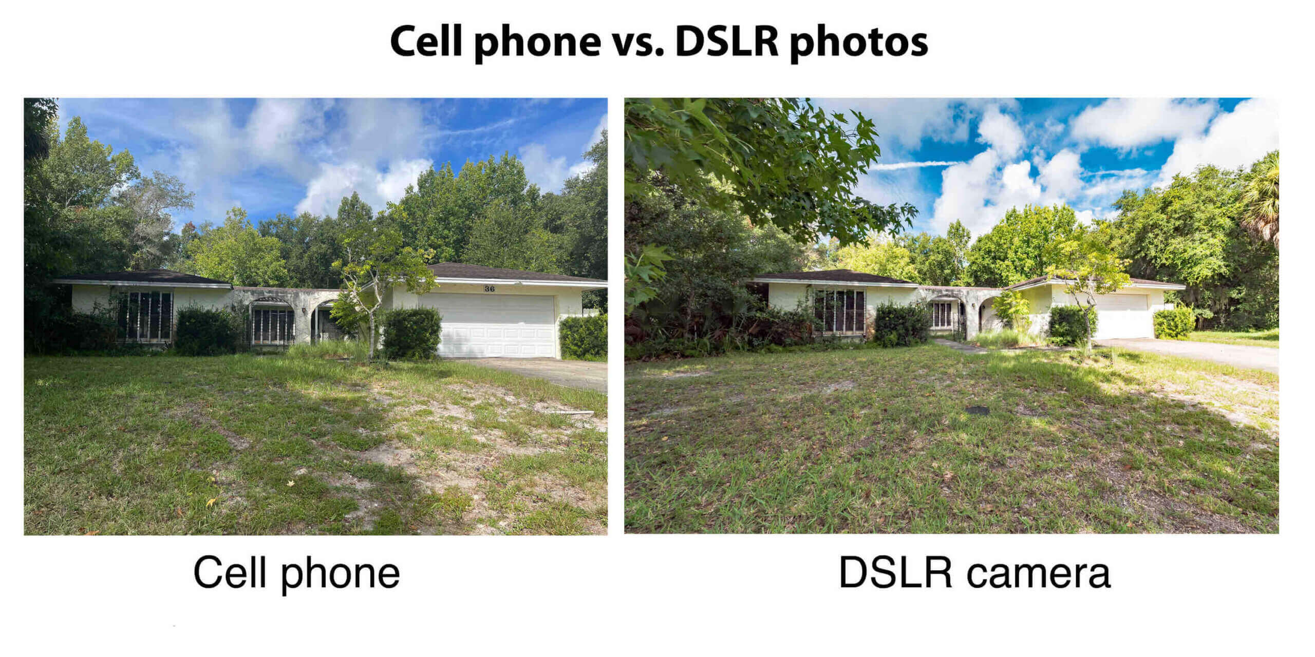 Why are Smartphones Better Than DSLRs?