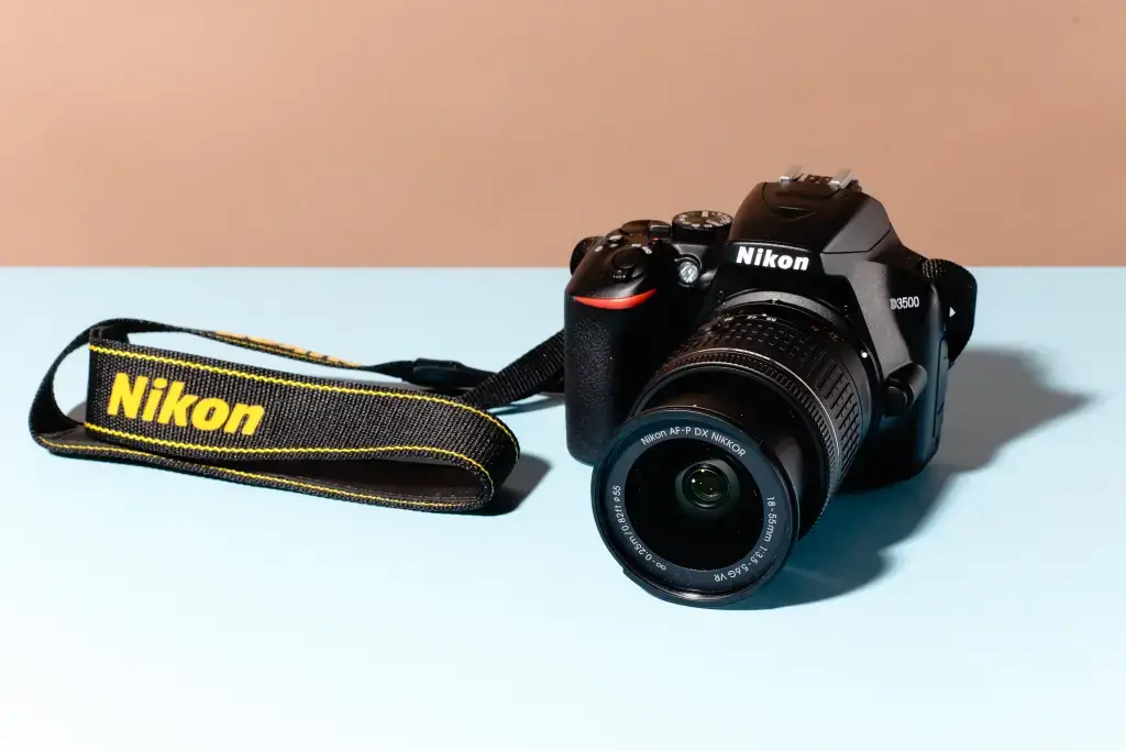 Top Factors for Buying a Nikon DSLR for Shooting Portrait