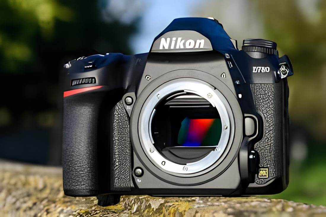 Which Entry-Level Nikon DSLR Cameras Are Best for Portrait Photography? -  NoKishiTa Camera