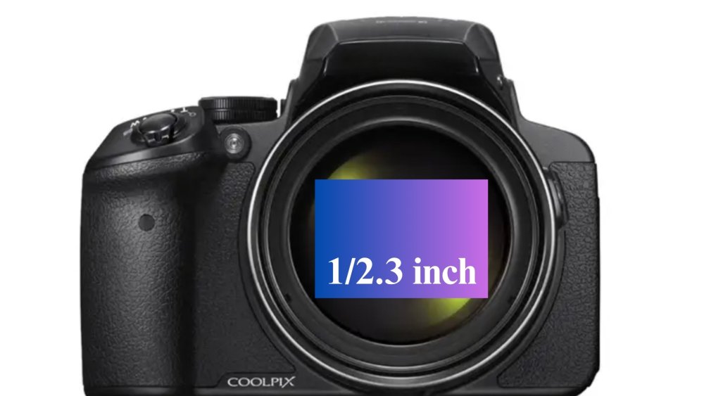 1:2.3 sensor size