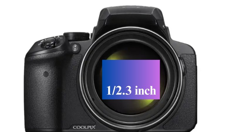 1:2.3 sensor size