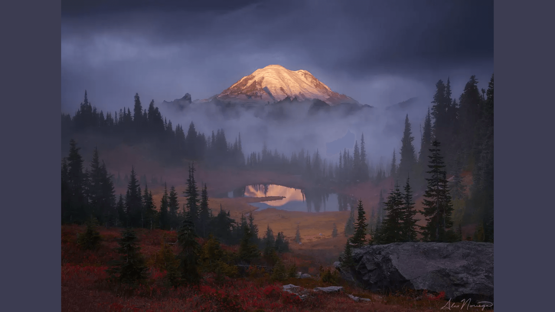 Alex_Noriega